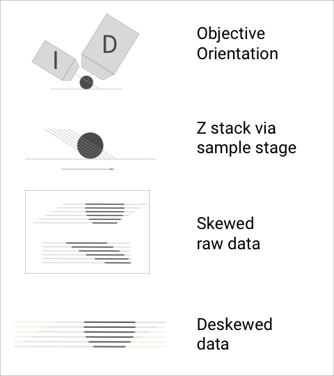 Deskew Schematic